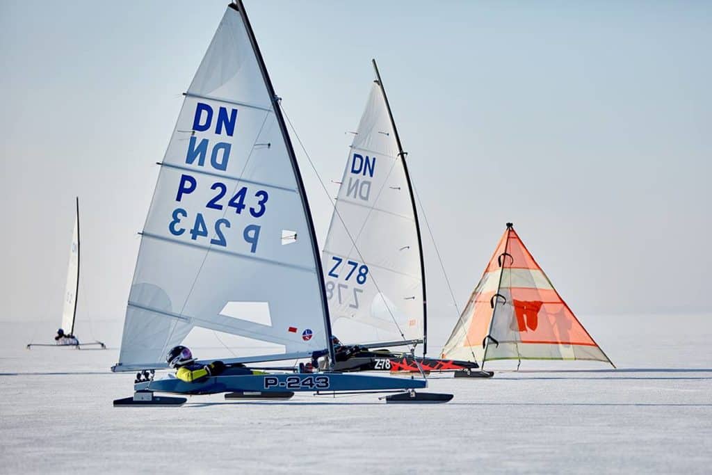 Copyright Gwidon Libera 051